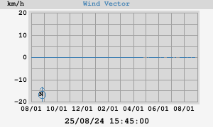 Wind Vector